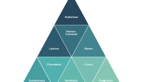 Diagram of the nifty nine principles