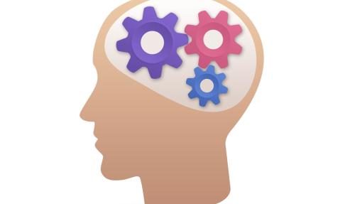 Illustration of head with cogs inside symbolising the brain