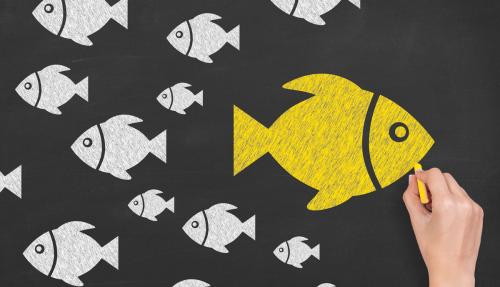 Little white fish with a huge yellow fish drawn on chalkboard