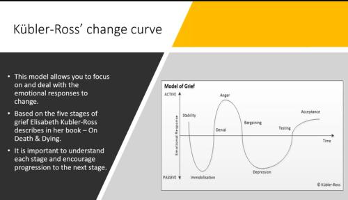 Video screenshot of Kubler Ross change curve