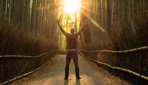 Man in forest at sunset